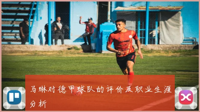 马琳对德甲球队的评价及职业生涯分析